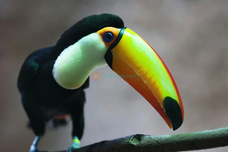 Barcelona Zoo Tickets - Discover Wildlife in the Heart of Barcelona - JTR Holidays - Image 6 of 11