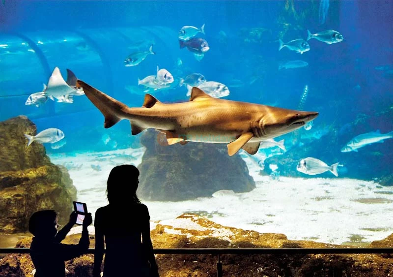 Aquarium Barcelona Ticket