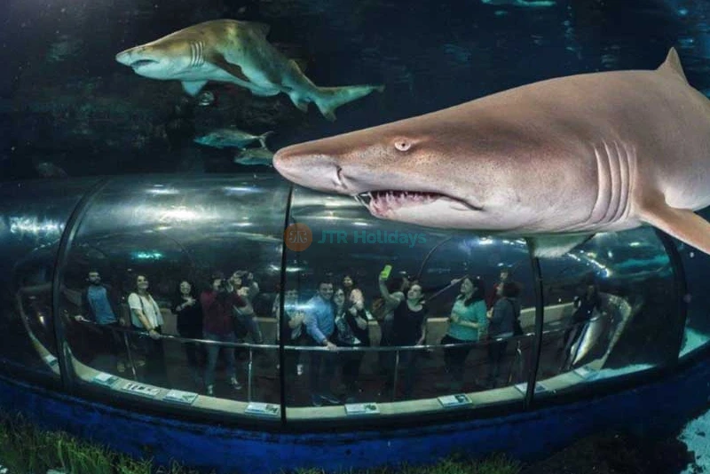 Aquarium Barcelona Ticket Explore Europe’s Largest Underwater World - JTR Holidays - Image 6 of 11