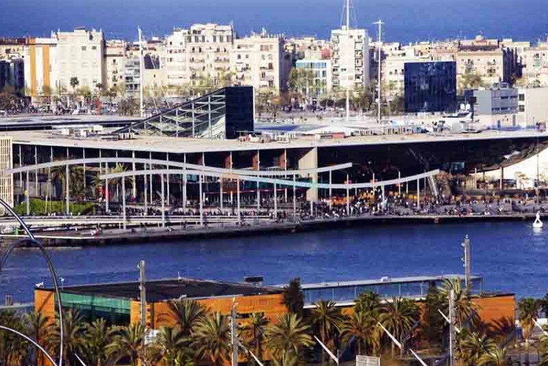 Aquarium Barcelona Ticket Explore Europe’s Largest Underwater World - JTR Holidays - Image 7 of 11