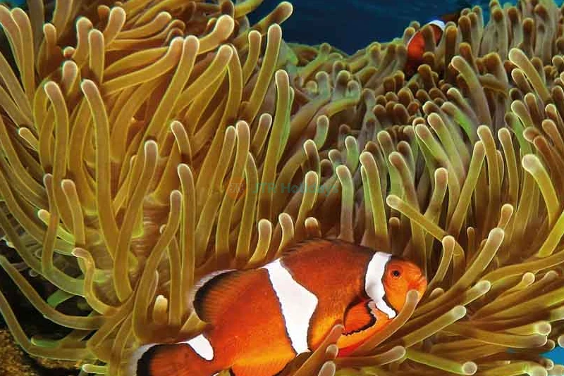 Aquarium Barcelona Ticket Explore Europe’s Largest Underwater World - JTR Holidays - Image 8 of 11