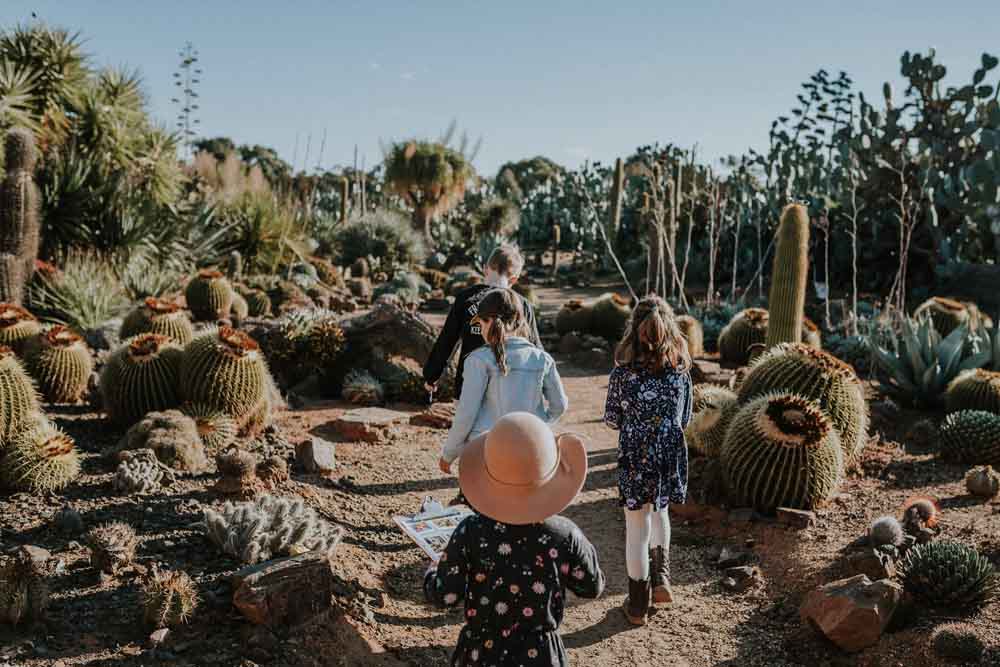 Jardin Pays des Cactus - Australie - Image 2 sur 5
