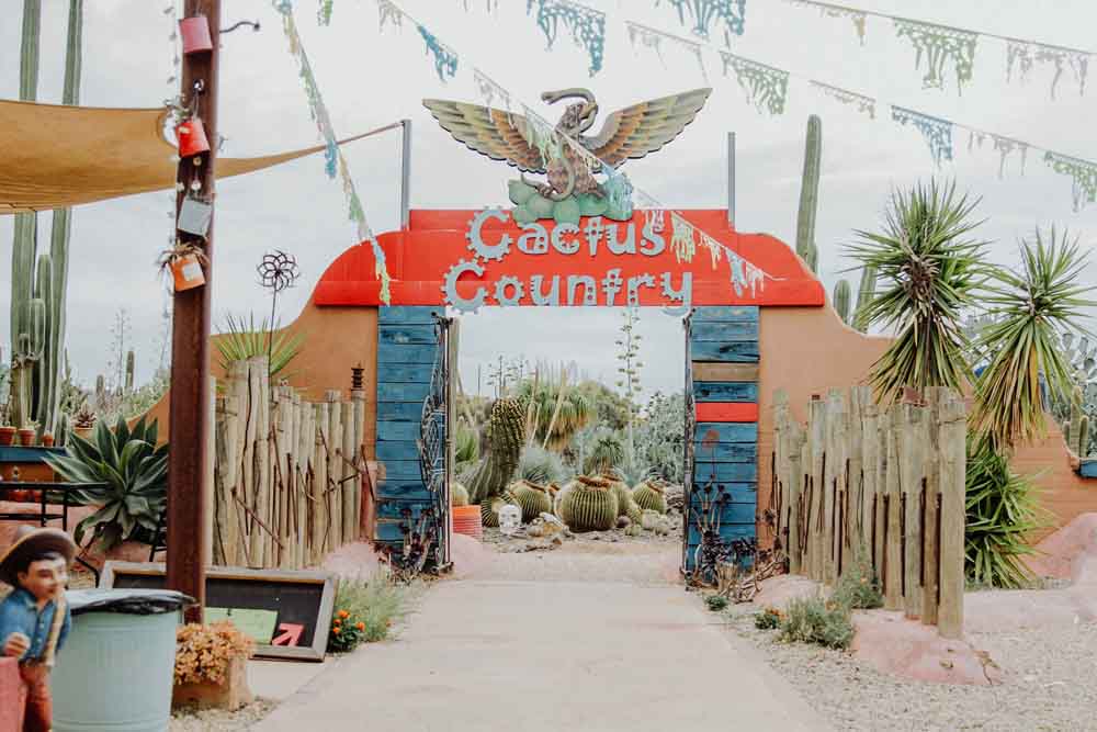 仙人掌乡村花园 - 澳大利亚 - 图片 4 的 5