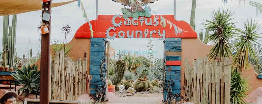 Cactus Country Garden - Australia - Image 4 of 5