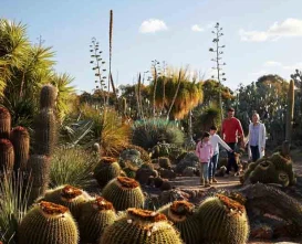 Cactus Country Australia - Unique Desert Oasis Experience in Victoria - JTR Holidays