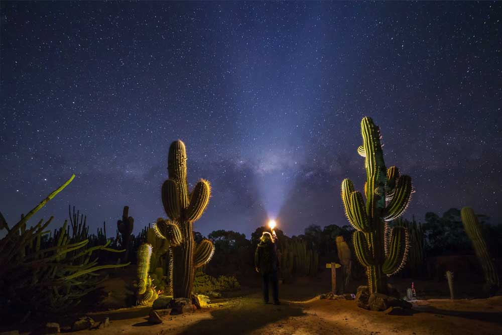 仙人掌乡村花园 - 澳大利亚 - Image 6 of 10
