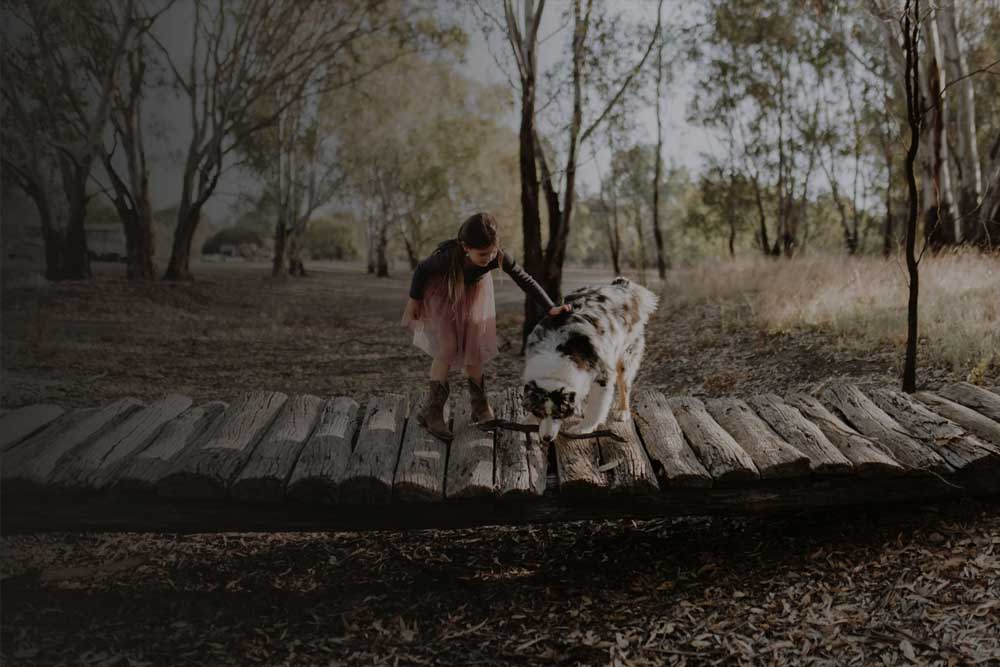 仙人掌乡村花园 - 澳大利亚 - Image 7 of 10