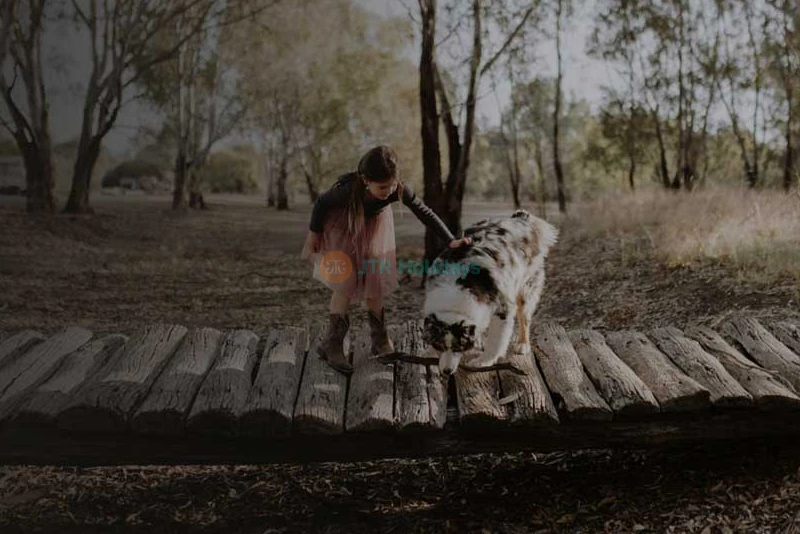 Cactus Country Garden - Australia - Image 7 of 10