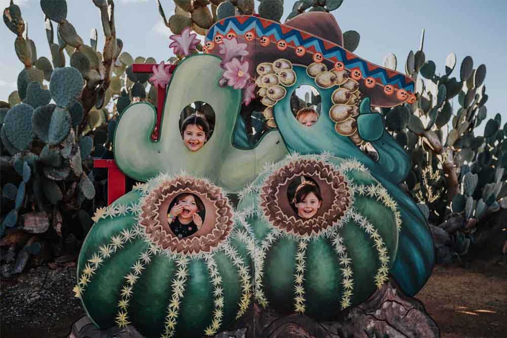 仙人掌乡村花园 - 澳大利亚 - Image 10 of 10