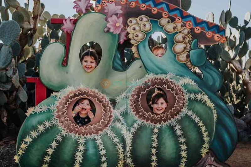 Cactus Country Garden - Australia - Image 10 of 10