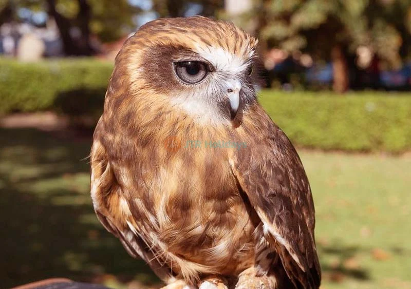 Ranger Red's Zoo & Conservation Park