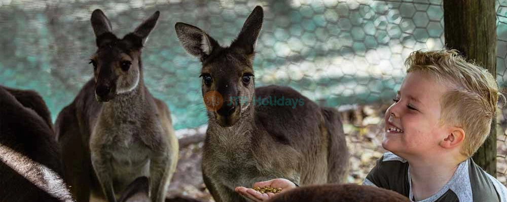 Ranger Red's Zoo Tickets - All-Day Entry to Wildlife Wonders in Perth - JTR Holidays - Image 4 of 5