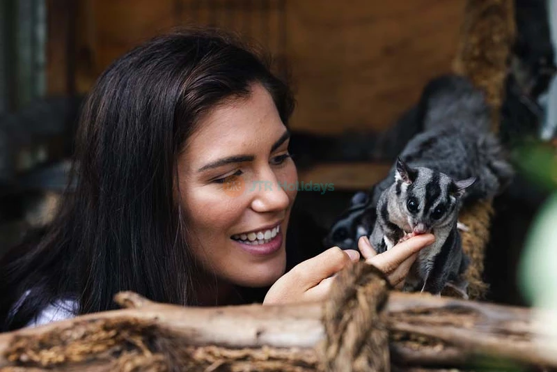 Ranger Red's Zoo Tickets - All-Day Entry to Wildlife Wonders in Perth - JTR Holidays - Image 6 of 9