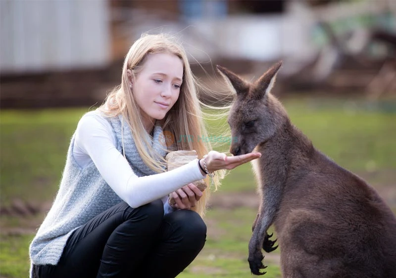 Bonorong Wildlife Sanctuary - Australia