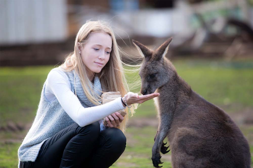 Bonorong Wildlife Sanctuary - Australia - Image 1 of 5