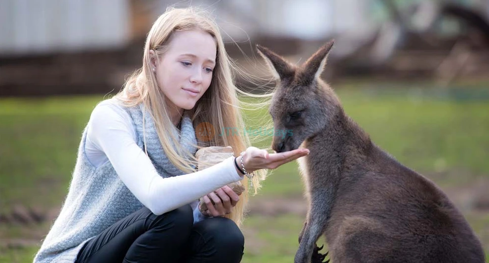 Bonorong Wildlife Sanctuary - Australia - Image 1 of 5