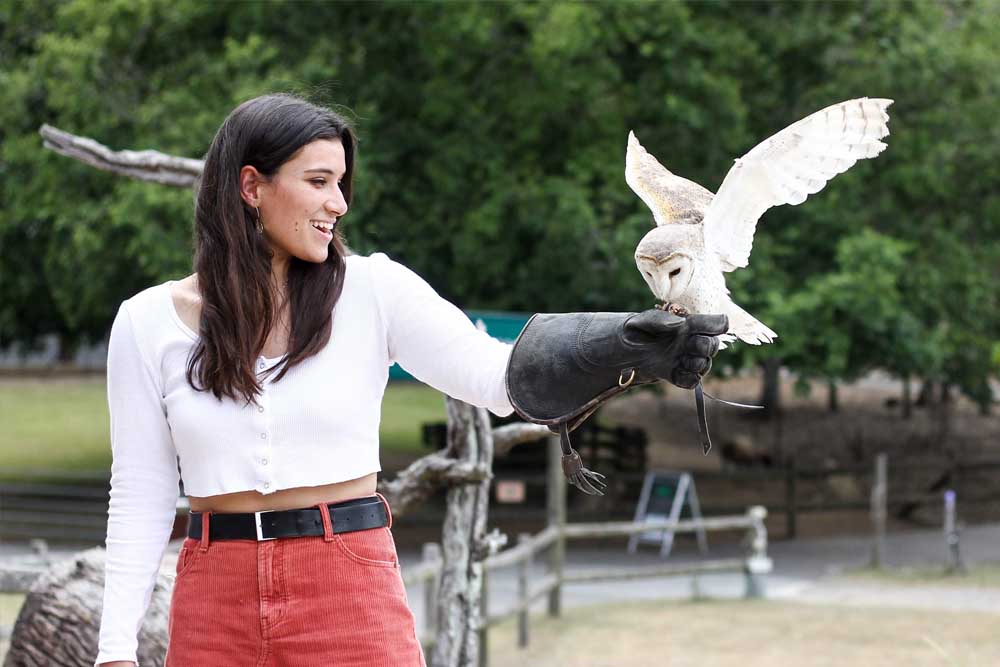 Lone Pine Koala Sanctuary - Brisbane - Image 3 of 13