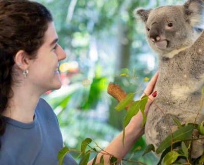 Lone Pine Koala Sanctuary - Brisbane - Discover Lone Pine Koala Sanctuary, the world's first and largest koala sanctuary, home to over 100 koalas and 70 native Australian animal species. Enjoy wildlife encounters, daily shows, and the new saltwater crocodile exhibit. Perfect for families and nature lovers! Lone Pine Koala Sanctuary - Brisbane - Image 5 of 5