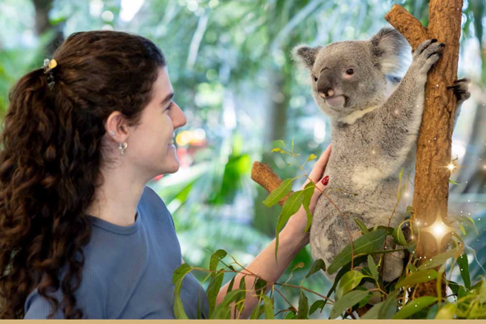 Lone Pine Koala Sanctuary - Brisbane - Image 5 of 13
