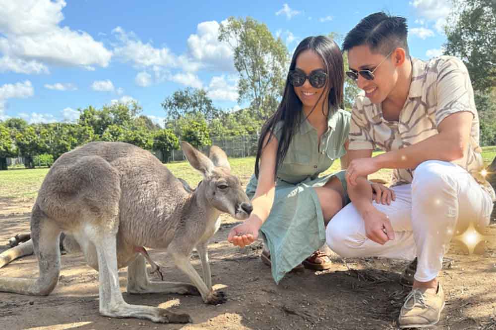 Lone Pine Koala Sanctuary - Brisbane - Image 6 of 13