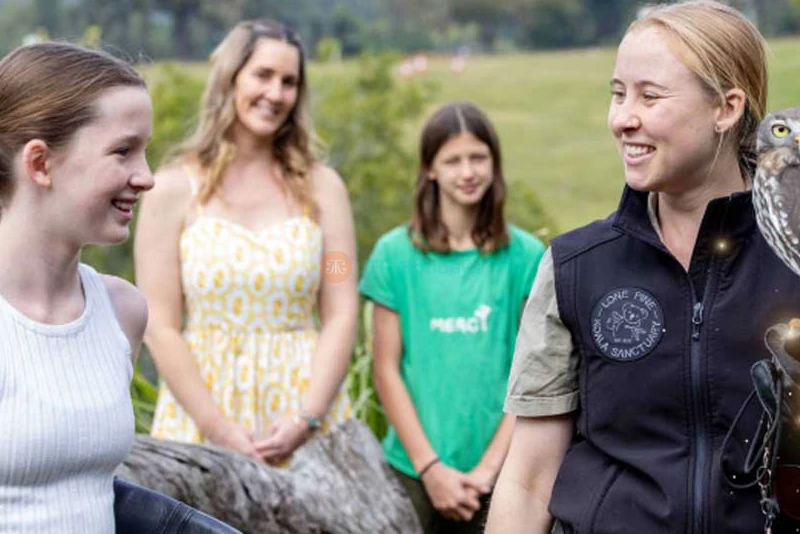 孤松考拉保护区 - 布里斯班 - Image 7 of 13