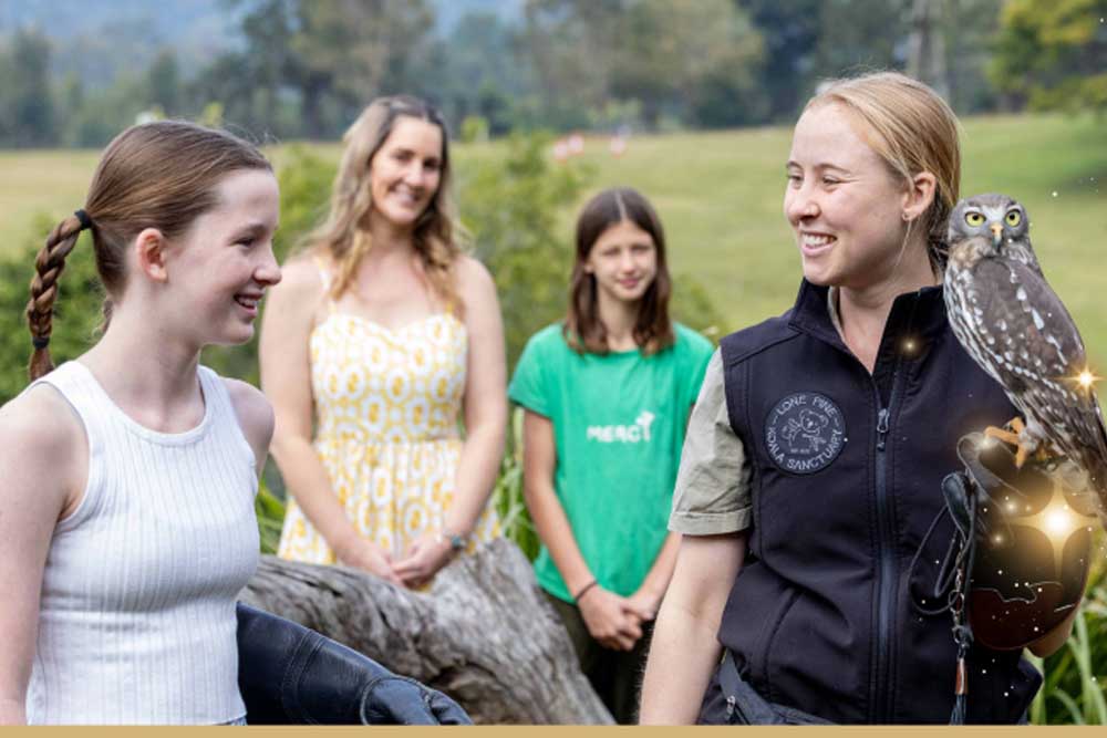 Lone Pine Koala Sanctuary - Brisbane - Image 8 of 13