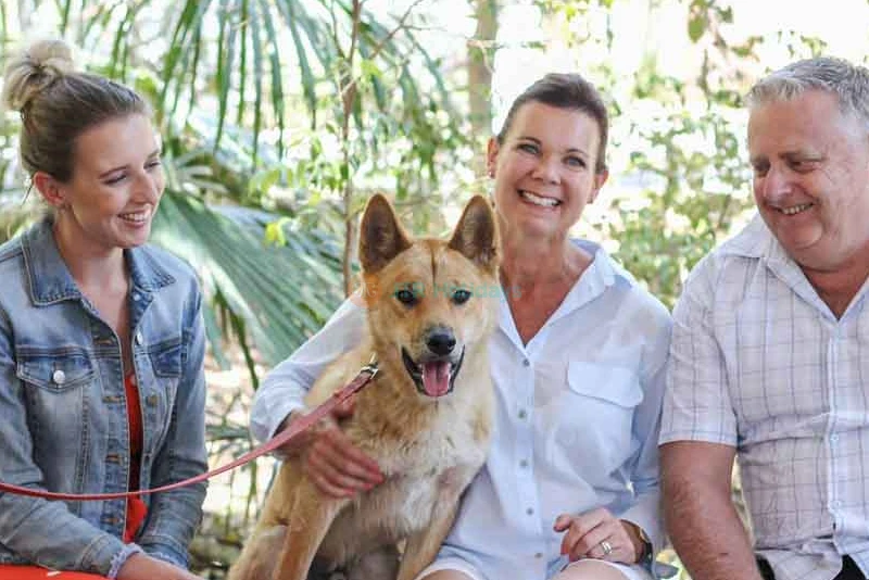 Lone Pine Koala Sanctuary Tickets - Explore Australia's Wildlife - JTR Holidays - Image 9 of 13