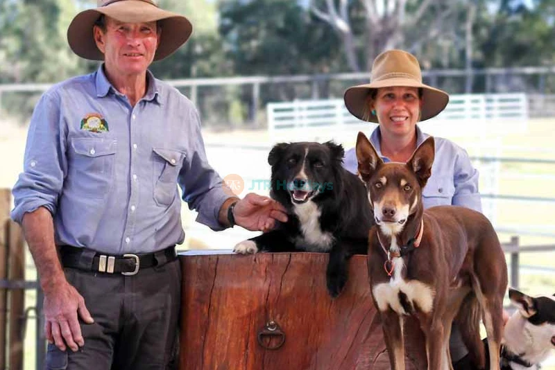 Lone Pine Koala Sanctuary Tickets - Explore Australia's Wildlife - JTR Holidays - Image 10 of 13