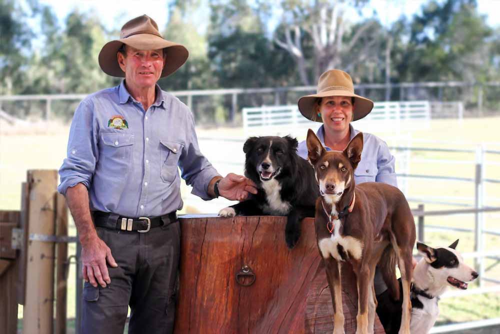 Lone Pine Koala Sanctuary - Brisbane - Image 10 of 13