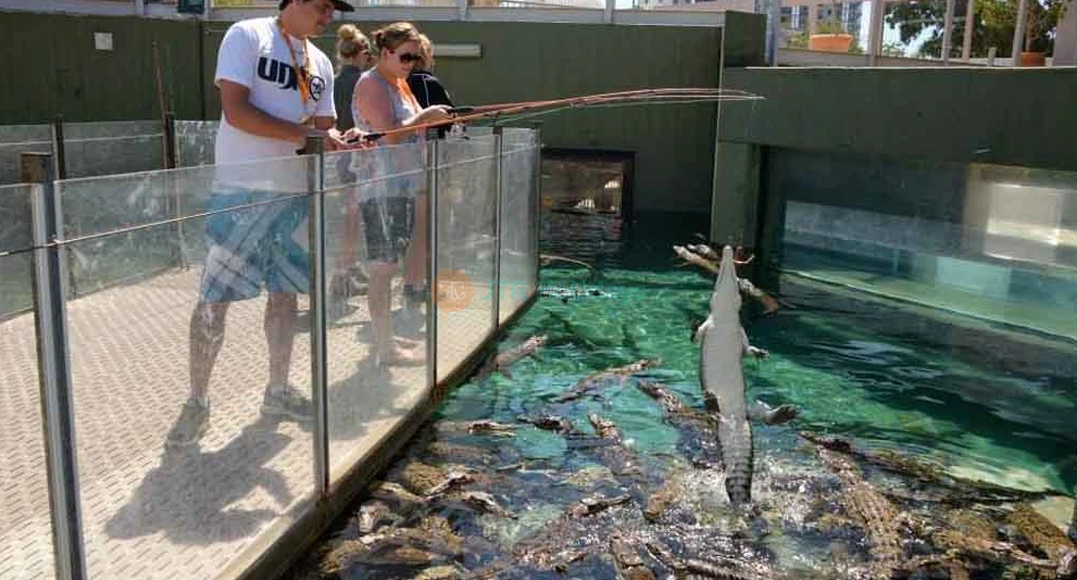 Crocosaurus Cove Darwin Ticket - Ultimate Wildlife Experience - JTR Holidays - Image 1 of 5