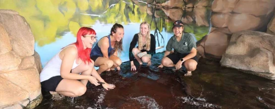 Crocosaurus Cove Darwin Ticket - Ultimate Wildlife Experience - JTR Holidays