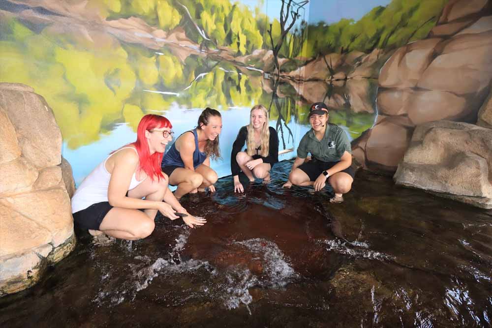 Crocosaurus Cove - Darwin - Image 4 of 5