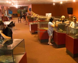 Crocosaurus Cove Darwin Ticket - Ultimate Wildlife Experience - JTR Holidays