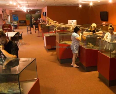 Crocosaurus Cove - Darwin - Image 5 of 5