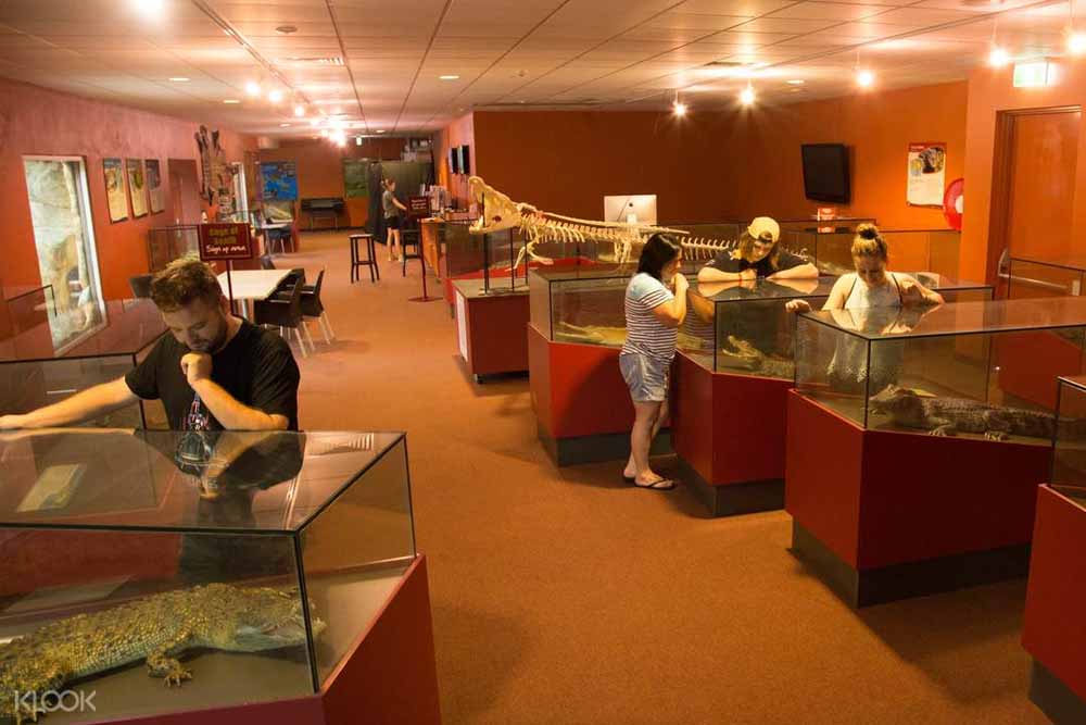 Crocosaurus Cove - Darwin - Image 5 of 7