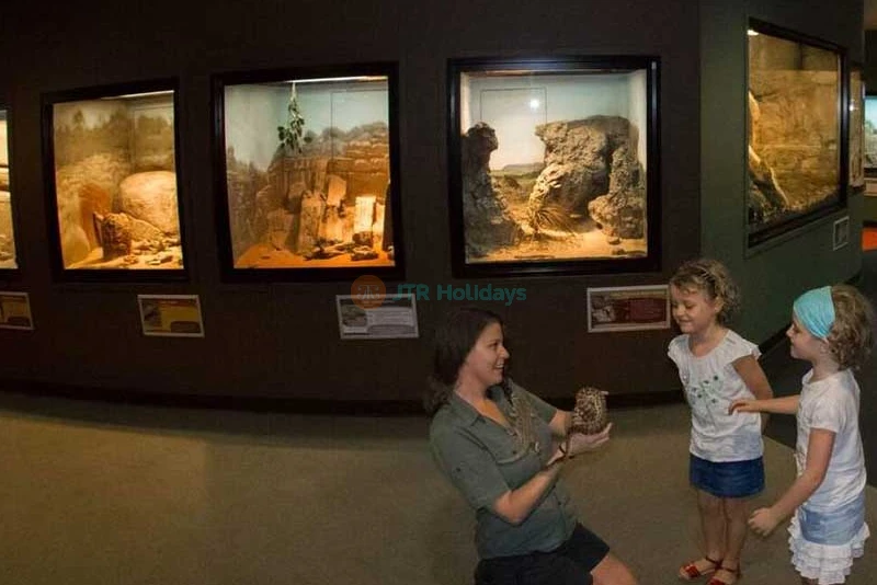 Crocosaurus Cove Darwin Ticket - Ultimate Wildlife Experience - JTR Holidays