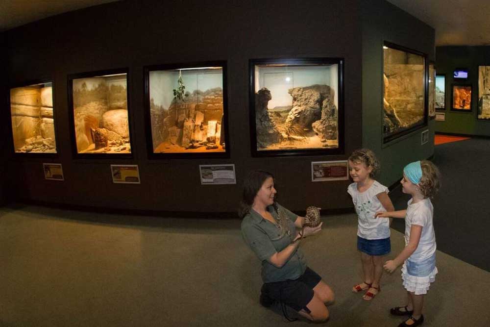 Crocosaurus Cove - Darwin - Image 6 of 7