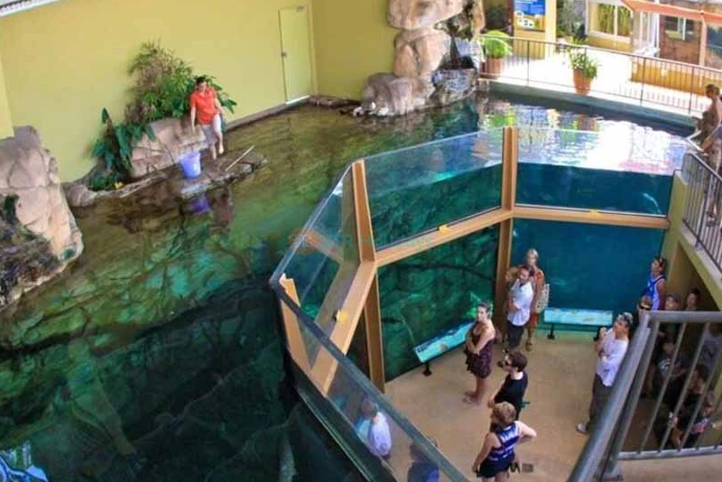 Crocosaurus Cove Darwin Ticket - Ultimate Wildlife Experience - JTR Holidays