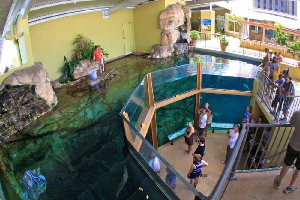 Crocosaurus Cove - Darwin - Image 7 of 7