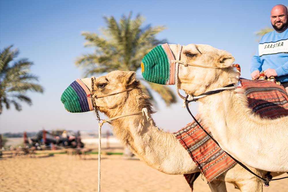 Hot Air Balloon Ride Dubai Ticket - Image 7 of 11