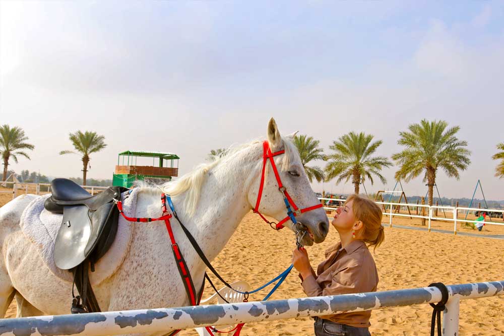 Hot Air Balloon Ride Dubai Ticket - Image 9 of 11