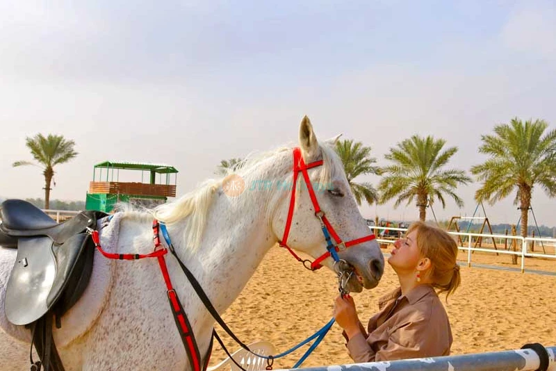 Hot Air Balloon Ride Dubai Ticket - Image 9 of 11