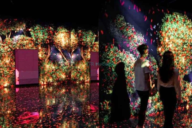 ARTE Museum Dubai | Immersive Art Experience at Dubai Mall - JTR Holidays - Image 6 of 11
