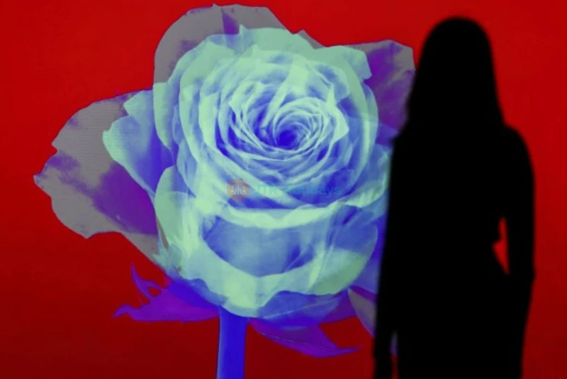 ARTE Museum Dubai | Immersive Art Experience at Dubai Mall - JTR Holidays - Image 9 of 11