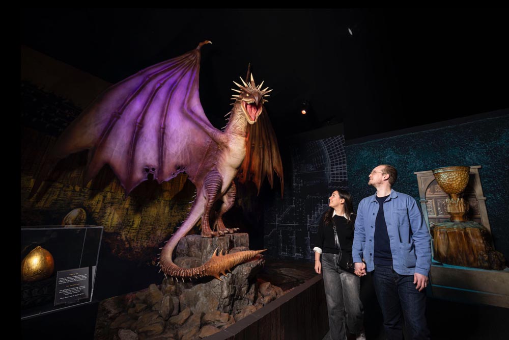 Harry Potter: The Exhibition at The Londoner Macao - Immergiti nel Mondo Magico con Harry Potter™: The Exhibition at The Londoner Macao. Vivi momenti iconici attraverso attività interattive, oggetti di scena reali e costumi autentici. Evoca il tuo Patronus, affronta un Hungarian Horntail e metti alla prova le tue abilità nel Quidditch™. Goditi una Butterbeer™ e acquista merchandise esclusivo di Harry Potter™. Non perdere questo viaggio magico al The Londoner Macao! Harry Potter: The Exhibition at The Londoner Macao - Immagine 3 di 5