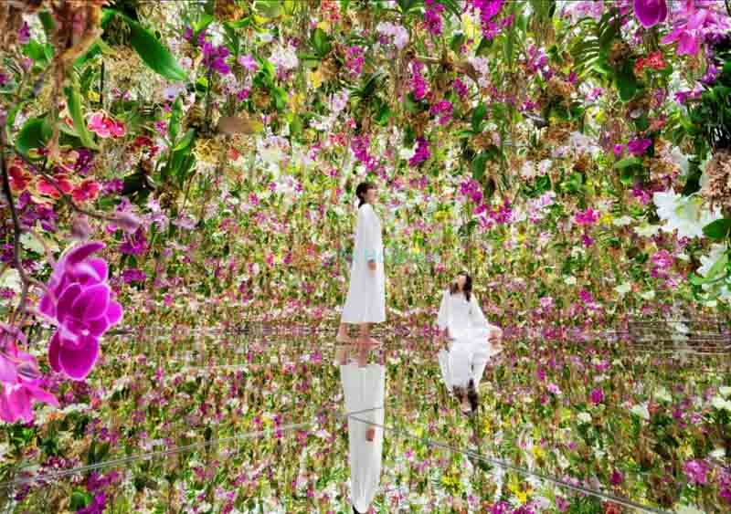 TeamLab SuperNature Macao