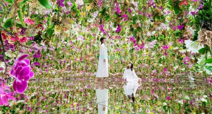teamLab SuperNature Macao - Image 1 of 9