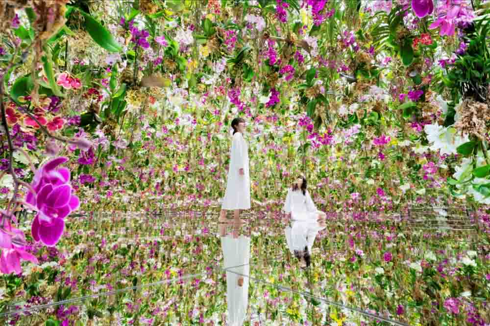 teamLab 超自然澳门 - Image 1 of 9