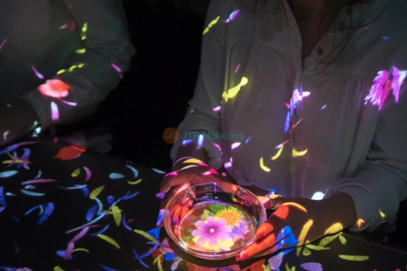 teamLab SuperNature Macao | Immersive Art Experience in Macao - JTR Holidays - Image 8 of 9