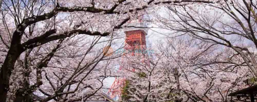 Tokyo Tower Tickets - Image 3 of 5